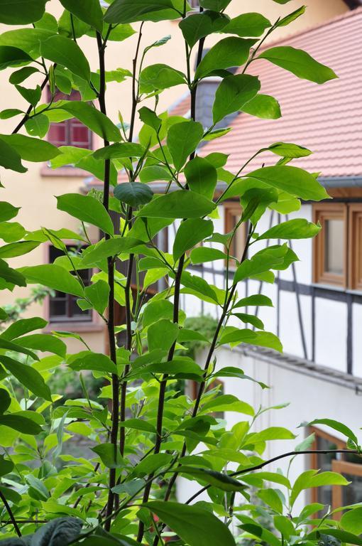 Gastezimmer Am Hof Франкфурт-на-Майне Экстерьер фото